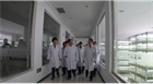 內(nèi)蒙古自治區(qū)副主席常軍政帶領工作組來我公司考察指導 烏蘭察布市市長陶淑菊陪同